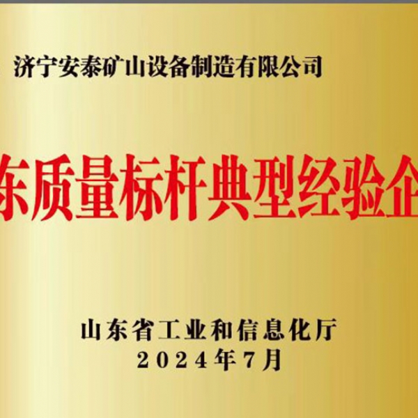 山東質量標桿典型經(jīng)驗企業(yè)