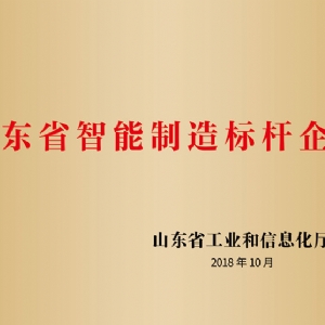 山東省智能制造標桿企業(yè)